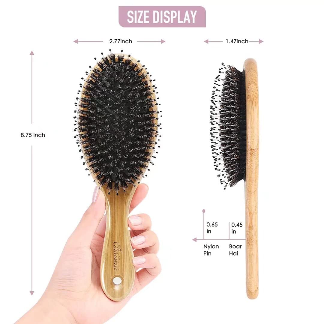 Hair Brush Comb Set Boar Bristle Hairbrush for Curly Thick Long Fine Dry Wet Hair,Best Travel Bamboo Paddle Detangler Detangling Hair Brushes for Women Men Kids Adding Shine Smoothing Hair - Image 6