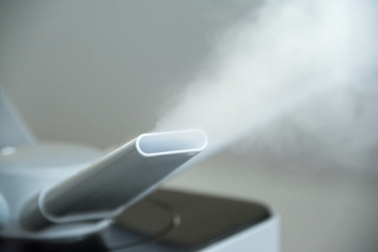 Facial Steamers: Benefits, Uses and Common Mistakes