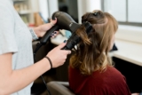 Hair Dryer Buying Guide: Features That Actually Matter